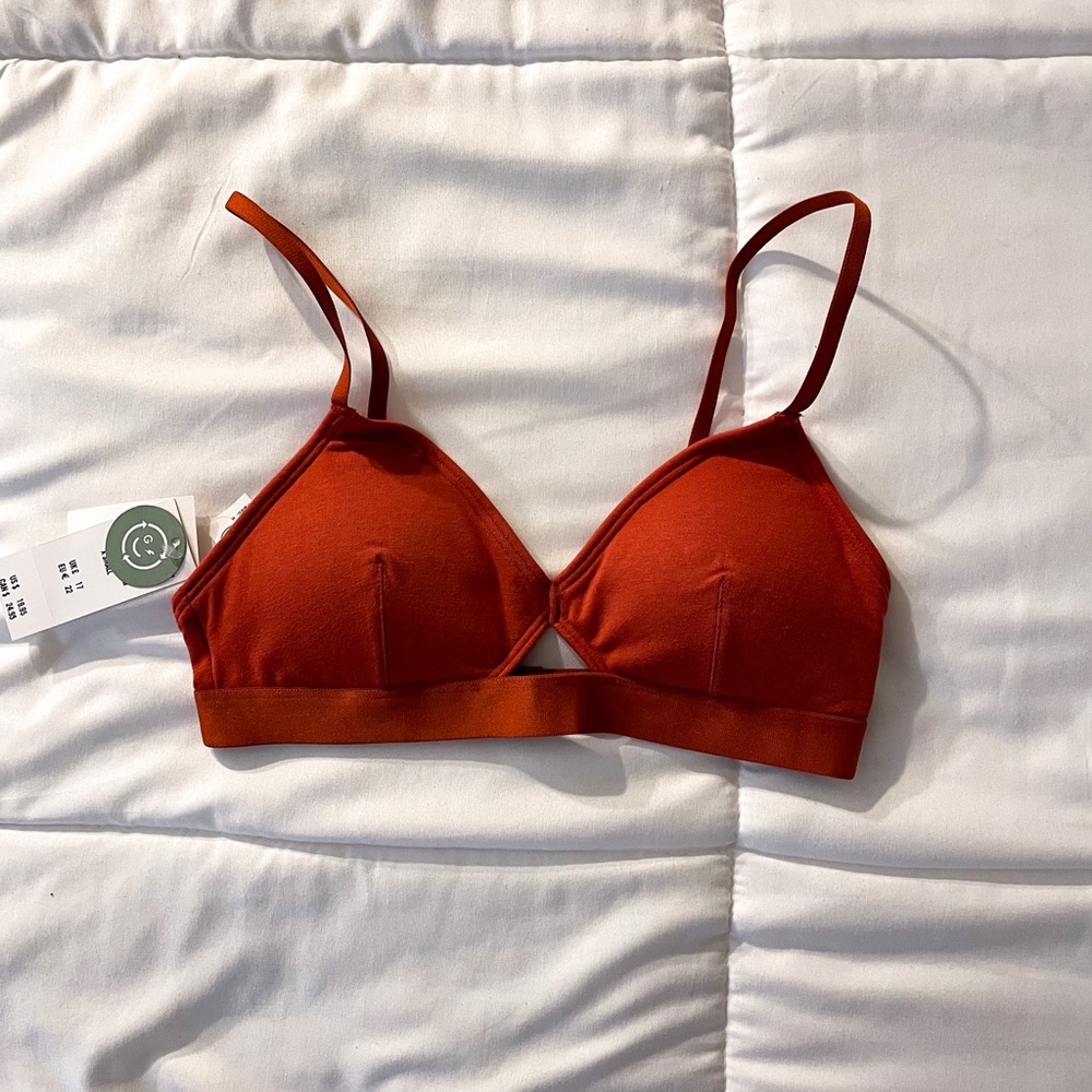 Gilly Hicks Cutout Triangle Bralette